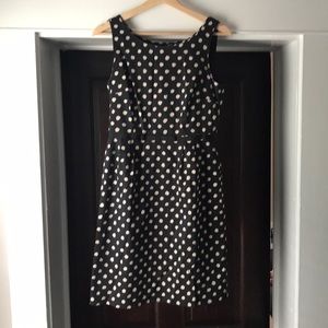 Kate Spade - navy and tan polka dotted dress